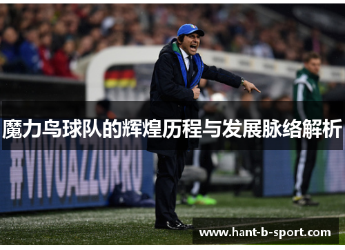 魔力鸟球队的辉煌历程与发展脉络解析
