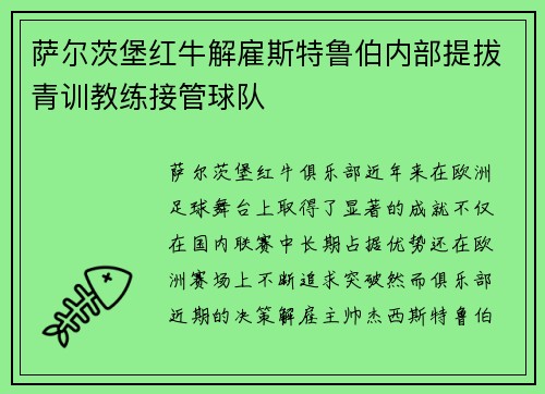 萨尔茨堡红牛解雇斯特鲁伯内部提拔青训教练接管球队 萨尔茨堡红牛解雇斯特鲁伯内部提拔青训教练接管球队